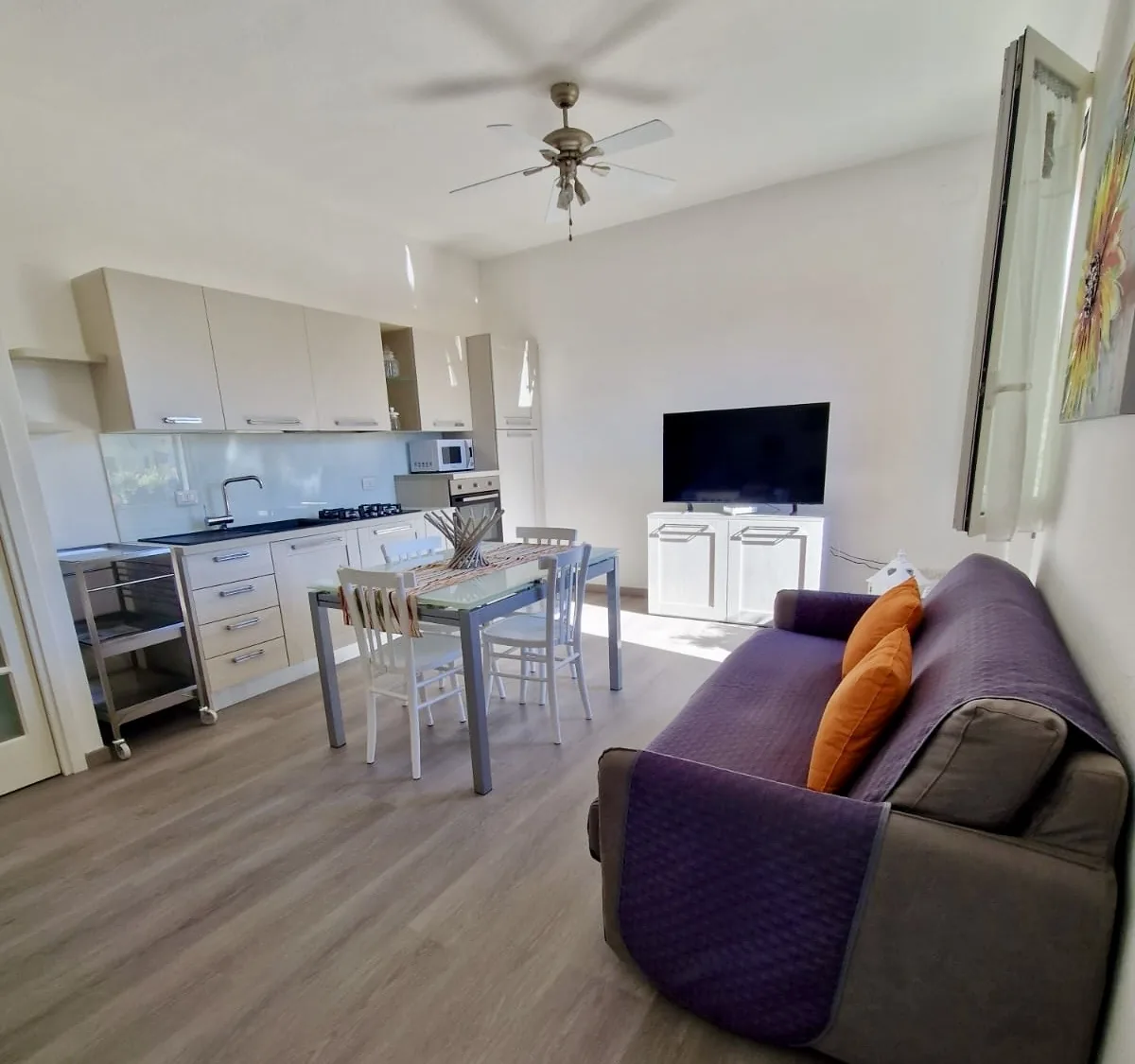 Living area with equipped kitchen and TV