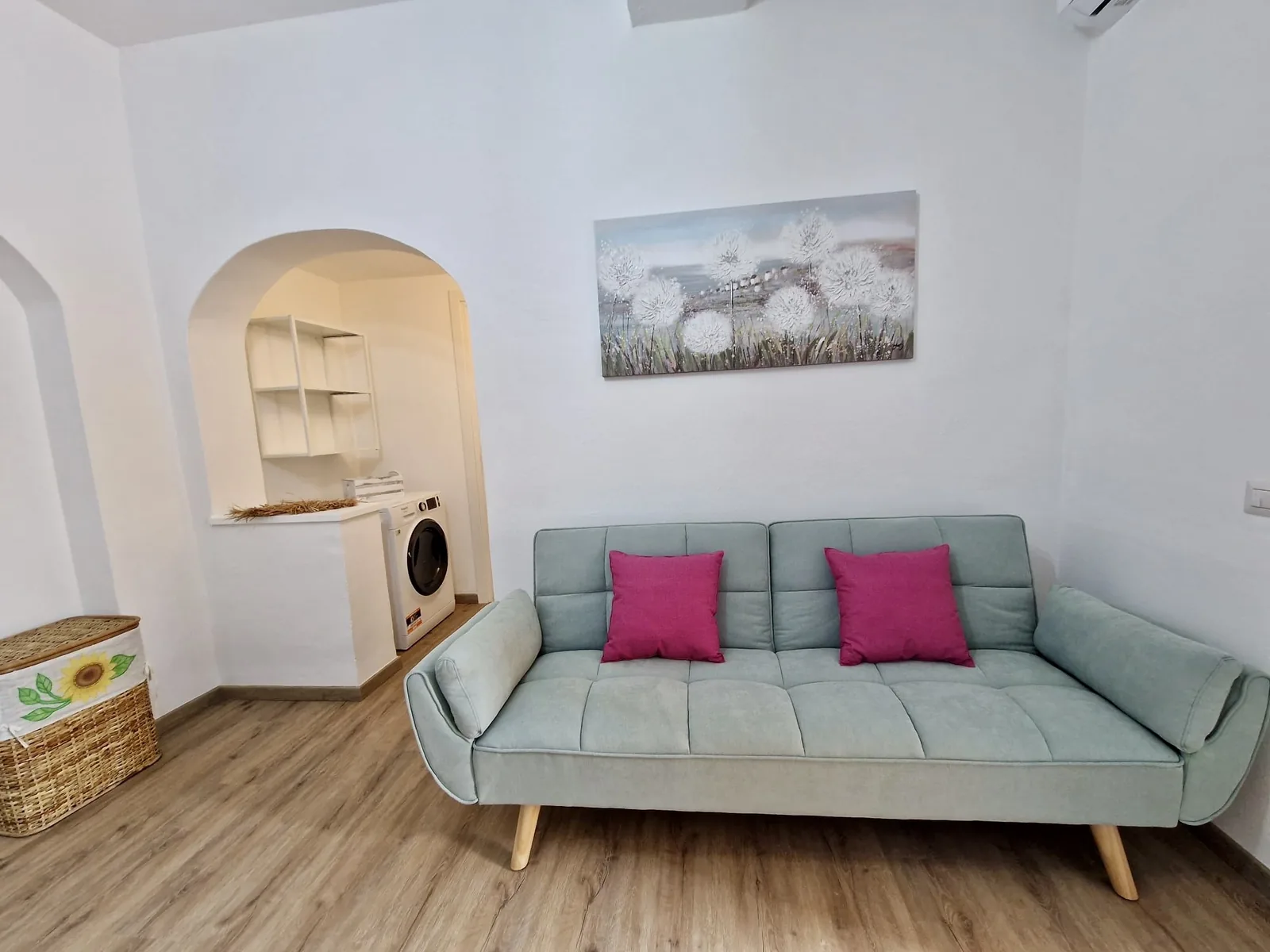 Living room with sofa bed